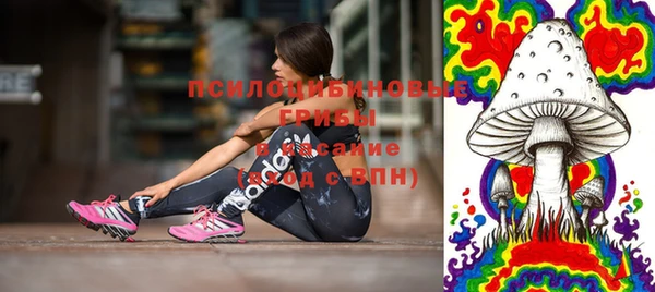 ешки Белокуриха