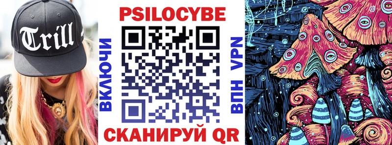 купить   Пионерский  Галлюциногенные грибы GOLDEN TEACHER 